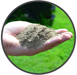 Hand Holding Soil